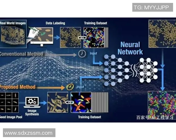广州乒乓球队技术表现数据分析揭示运动员潜力与训练效果的深度关系